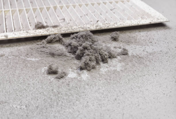 Best Affordable HVAC Duct Cleaning  in Manhasset Hills, NY