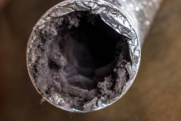 Best Air Vent Cleaning Services  in Manhasset Hills, NY